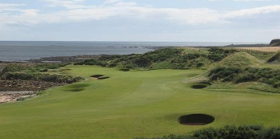 A wide scenery of golf course field